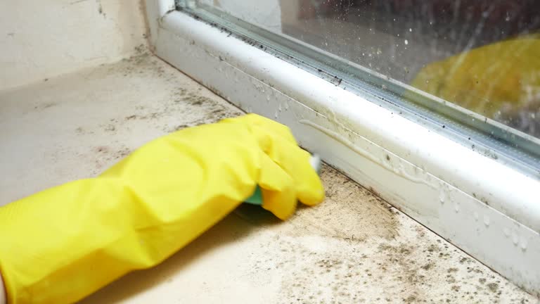 Best Biohazard Mold Removal  in Corpus Christi, TX